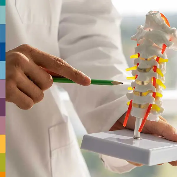 Servicio-Quiropractica Quiropráctico